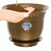 Planter LILIA 8.6 Inch Gold, With Saucer   564101716